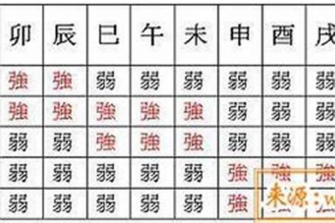 身強特徵|八字命格深度分析 – 解析個人運勢與性格特質